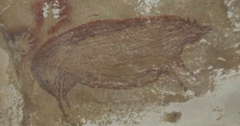 В Индонезии обнаружено древнейшее наскальное изображение животного