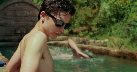 У Тимоти Шаламе было камео в мини-сериале Луки Гуаданьино «Мы те, кто мы есть»