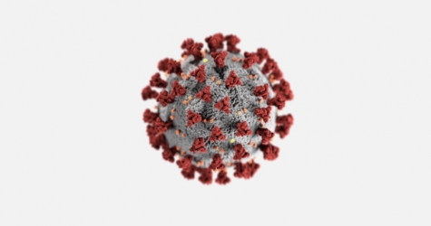 Ученые из США рассказали об опасности штамма коронавируса «йота»