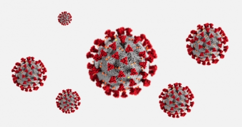 На юго-востоке Кении обнаружили сразу 16 новых штаммов коронавируса