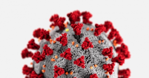 В Финляндии выявлен новый штамм коронавируса