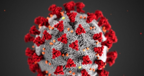Модель коронавируса претендует на звание лучшего дизайн-проекта года