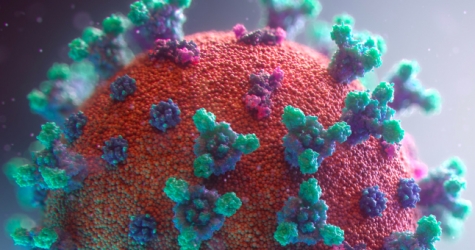 Центр «Вектор» опроверг информацию о появлении «московского» штамма COVID-19