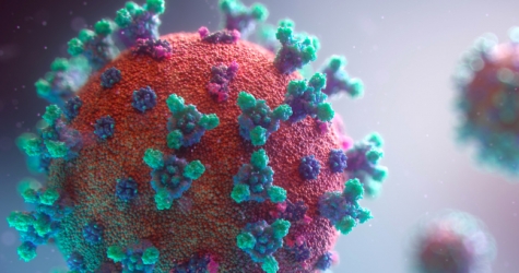 Эффективность вакцины Moderna при тяжелых случаях COVID-19 составила 100%