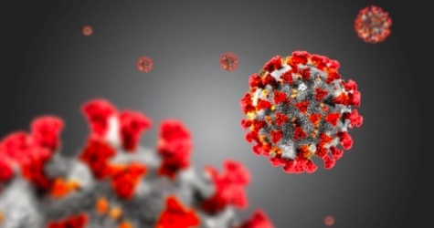 За сутки в России выявили меньше 10 000 случаев заражения коронавирусом — впервые с 2 мая