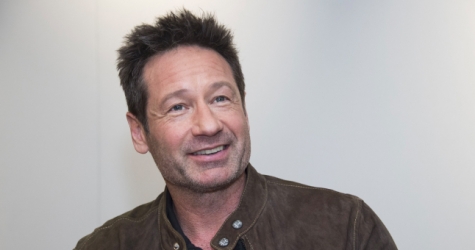 Дэвид Духовны снимется в сериале по своему роману о каскадере-многоженце, живущем в пустыне