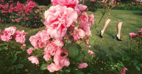 В Москве покажут самые известные фотографии Ги Бурдена