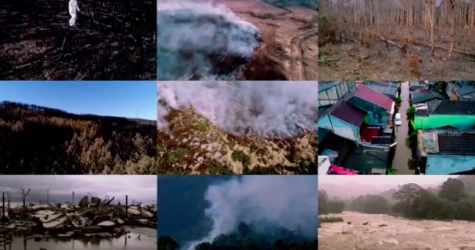 Greenpeace выпустил документальный сериал о климатическом кризисе