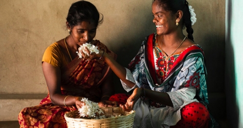 Bvlgari поддержал выращивание жасмина в Индии