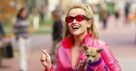 Риз Уизерспун рассказала о возможном возвращении «Блондинки в законе»