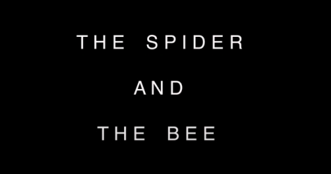 На ютьюб-канале Дэвида Линча появилась короткометражка о пауке и пчеле