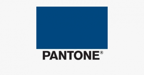 Pantone назвал главный цвет 2020 года