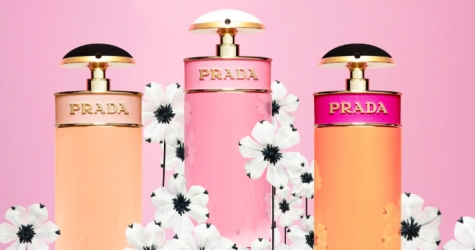 L’Oréal будет производить ароматы для Prada