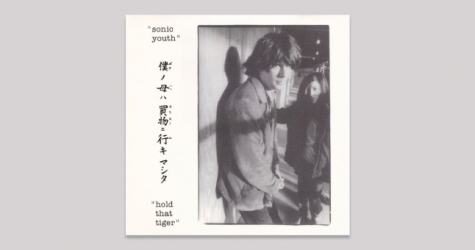 Группа Sonic Youth выложила онлайн концертный альбом «Hold That Tiger»