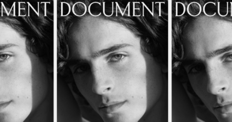 Эди Слиман сфотографировал Тимоти Шаламе для обложки Document Journal