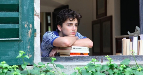 Тимоти Шаламе сыграет в хорроре Луки Гуаданьино о подростках-каннибалах