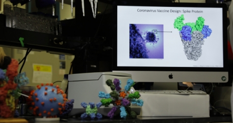 В США начались клинические испытания вакцины от коронавируса