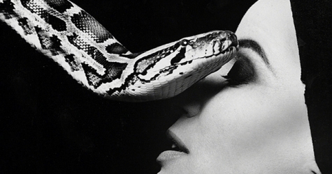 Итак, вы Змееносец: инструкция по выживанию