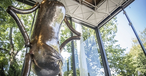 Эрвин Вурм создал абстрактные скульптуры в виде сосисок