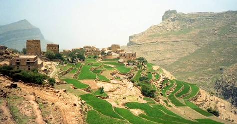 \"Щебневый вызов\" в ответ на #IceBucketChallenge