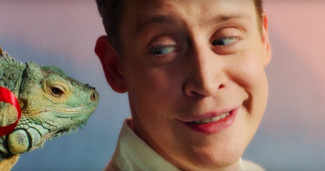 Маколей Калкин позирует с игуаной на фоне зимнего леса в кампании Happy Socks