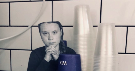 В Израиле вешают фотографии Греты Тунберг, если работники используют пластик