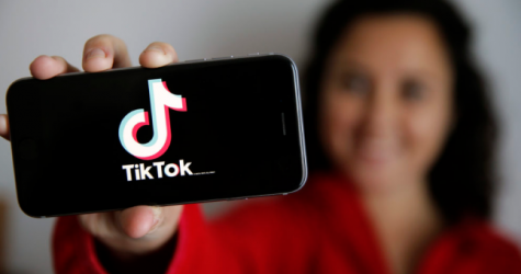 TikTok скрывал видео ЛГБТ-персон и пользователей с инвалидностью