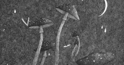 В галерее Ruarts пройдет выставка работ художника Гриши