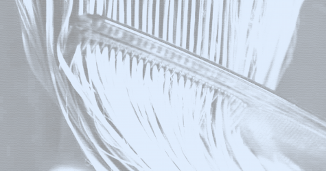 Какой уход нужен разным типам волос? Отвечает эксперт