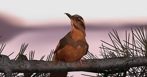 Марк Фрост напишет продолжение \"Твин Пикса\"