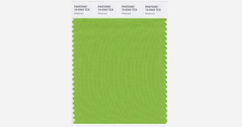 Pantone выбрал цвет 2017 года