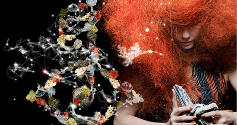 Приложение Бьорк Biophilia будет включено в школьную программу