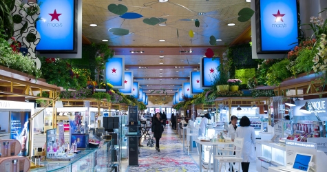 Цветущая арт-галерея