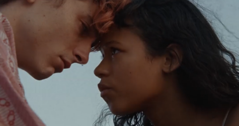 Тимоти Шаламе поделился тизером фильма «Целиком и полностью» Луки Гуаданьино