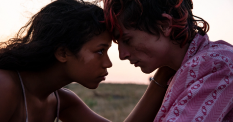 В Сети появились кадры из фильма Луки Гуаданьино с Тимоти Шаламе