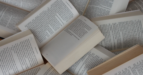 В ДК «Рассвет» издательство Individuum проведет книжный фестиваль