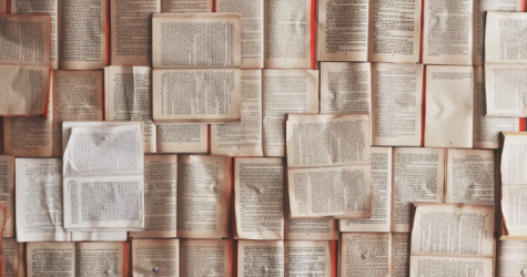 В пространстве «ДК Рассвет» пройдет книжная ярмарка Rassvet Book Fair 2023