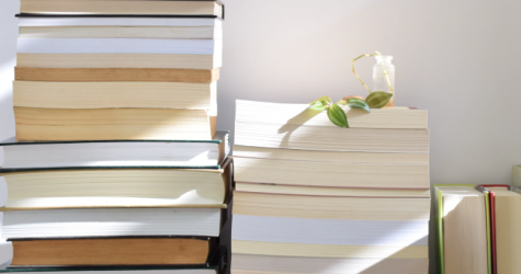 Магазин «Лабиринт» снял с продажи часть книг после принятия закона о пропаганде ЛГБТ