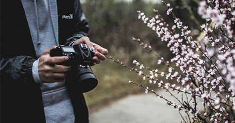 В закладки: гарвардский курс по основам фотографии