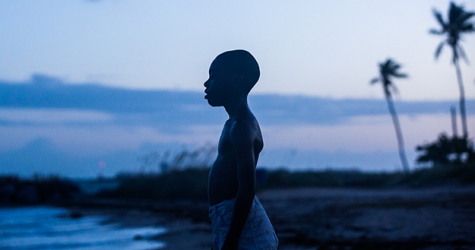 Всё о фильме «Лунный свет» — главном конкуренте «Ла-Ла Ленда»