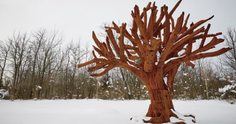 \"Железное дерево\" Ай Вэйвэя появится в парке скульптур Фредерик Мейжер