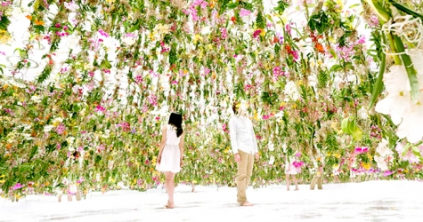 Летающий цветник от студии TeamLab