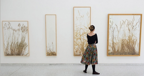 Объявлена тема и дата проведения Венецианской биеннале современного искусства