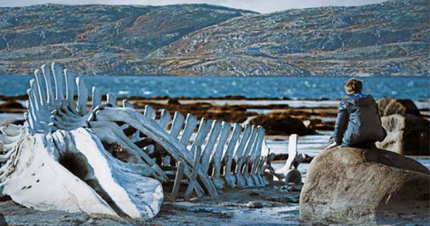 \"Левиафан\" признали лучшим фильмом на Лондонском кинофестивале