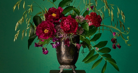 Выставка Loewe в Королевском ботаническом саду Мадрида