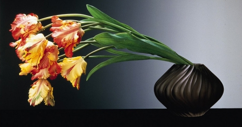 В музее LACMA открылась выставка Роберта Мэпплторпа