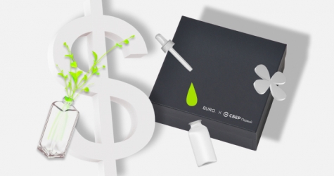 Инвестиции в себя: как научиться правильно вкладывать средства