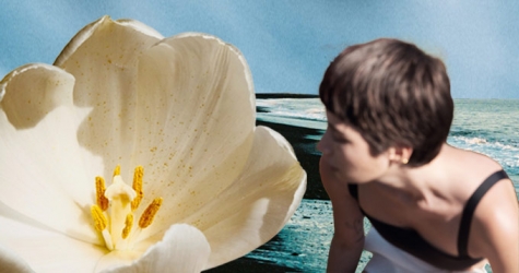 Тест: природа, наука или искусство? Ищем свою стихию