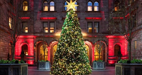 Рождественские елки в лучших отелях мира