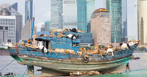 \"Девятый вал\": корабль-инсталляция в Шанхае